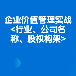 《企业价值管理实战：行业、公司名称、股权构架》