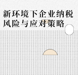 《新环境下企业纳税风险与应对策略》