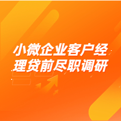 《小微企业客户经理贷前尽职调研》