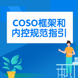 《COSO框架和内控规范指引》