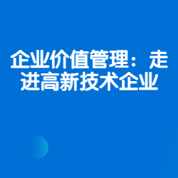 《企业价值管理：走进高新技术企业》