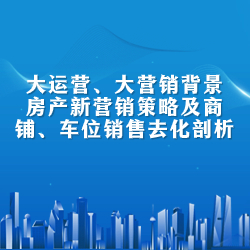 《大运营、大营销背景下房产新营销策略及商铺、车位销售去化剖析》