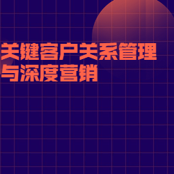 《关键客户关系管理与深度营销》