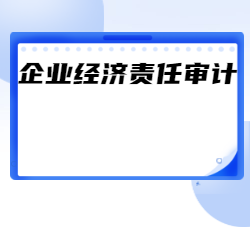 《企业经济责任审计》