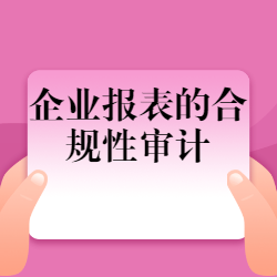 《企业报表的合规性审计》