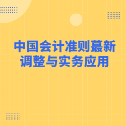 《中国会计准则蕞新调整与实务应用》