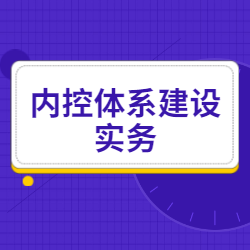 《内控体系建设实务》