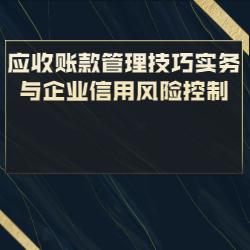 《应收账款管理技巧实务与企业信用风险控制》