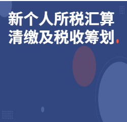 《新个人所税汇算清缴及税收筹划》