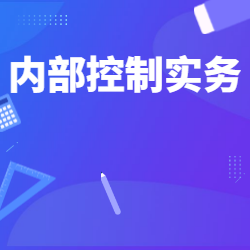 《内部控制实务》