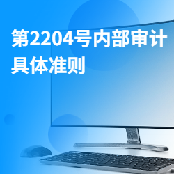 《第2204号内部审计具体准则》