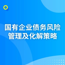 《国有企业债务风险管理及化解策略》