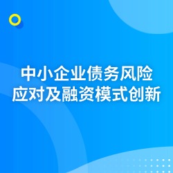 《中小企业债务风险应对及融资模式创新》