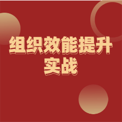 《组织效能提升实战》