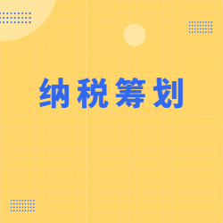 《纳税筹划》