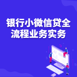 《银行小微信贷全流程业务实务》