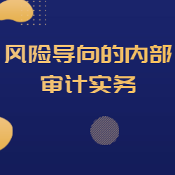 《风险导向的内部审计实务》