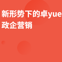 《新形势下的卓yue政企营销》