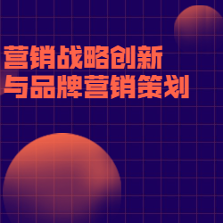 《营销战略创新与品牌营销策划》