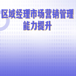 《区域经理市场营销管理能力提升》